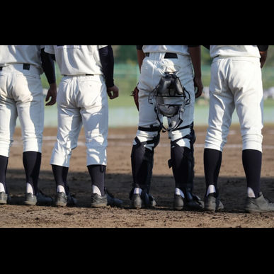 セリーグ公式サイトまとめ！